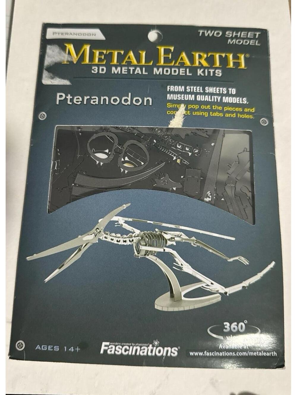 3D Metal Model Pteranodon
